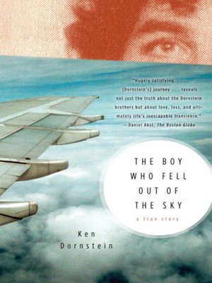 cover image of The Boy Who Fell Out of the Sky